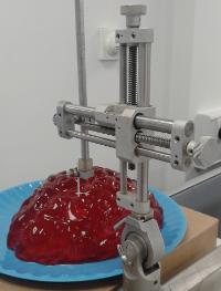 Image of neurosurgery clamp demonstrated on a jelly brain at public engagement event.